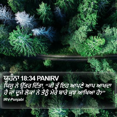 ਯੂਹੰਨਾ 18:34 PANIRV Bible Verse Image
