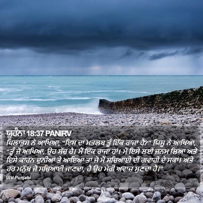 ਯੂਹੰਨਾ 18:37 PANIRV Bible Verse Image