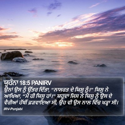 ਯੂਹੰਨਾ 18:5 PANIRV Bible Verse Image