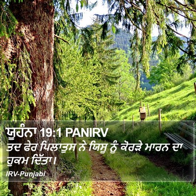 ਯੂਹੰਨਾ 19:1 PANIRV Bible Verse Image