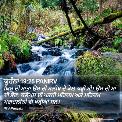 ਯੂਹੰਨਾ 19:25 PANIRV Bible Verse Image