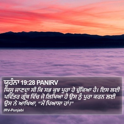 ਯੂਹੰਨਾ 19:28 PANIRV Bible Verse Image