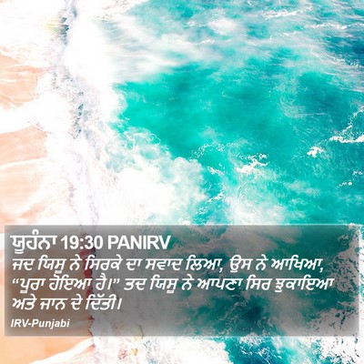 ਯੂਹੰਨਾ 19:30 PANIRV Bible Verse Image