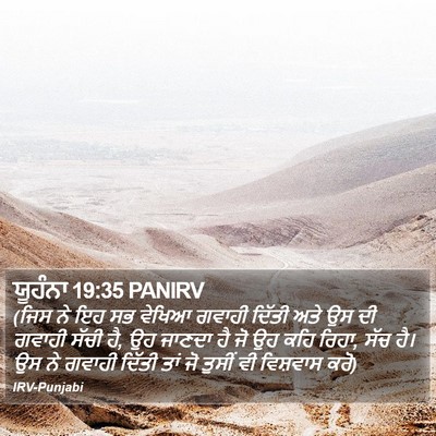 ਯੂਹੰਨਾ 19:35 PANIRV Bible Verse Image