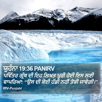 ਯੂਹੰਨਾ 19:36 PANIRV Bible Verse Image