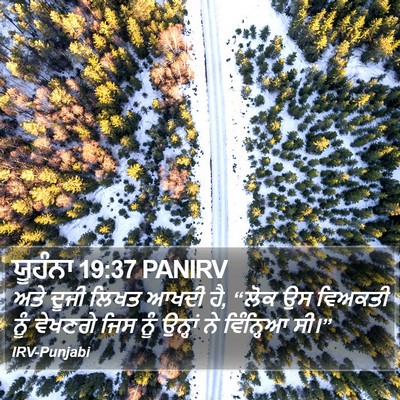 ਯੂਹੰਨਾ 19:37 PANIRV Bible Verse Image