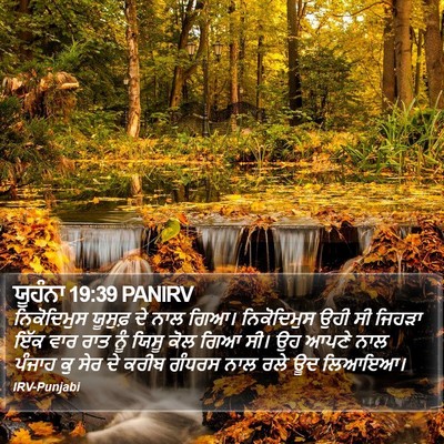 ਯੂਹੰਨਾ 19:39 PANIRV Bible Verse Image