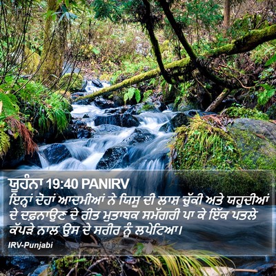 ਯੂਹੰਨਾ 19:40 PANIRV Bible Verse Image