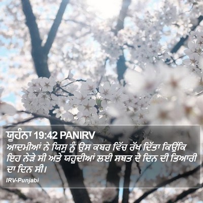 ਯੂਹੰਨਾ 19:42 PANIRV Bible Verse Image