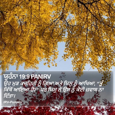 ਯੂਹੰਨਾ 19:9 PANIRV Bible Verse Image
