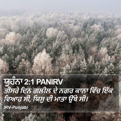 ਯੂਹੰਨਾ 2:1 PANIRV Bible Verse Image