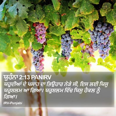 ਯੂਹੰਨਾ 2:13 PANIRV Bible Verse Image