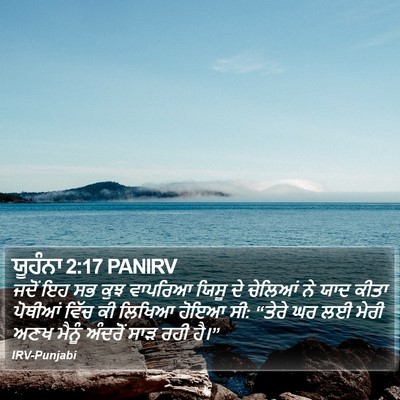 ਯੂਹੰਨਾ 2:17 PANIRV Bible Verse Image