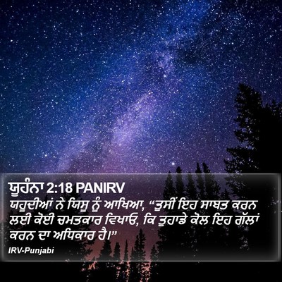 ਯੂਹੰਨਾ 2:18 PANIRV Bible Verse Image