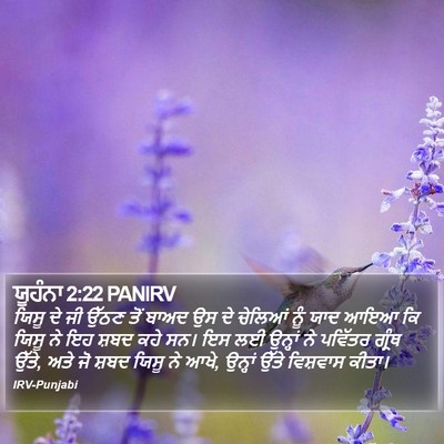 ਯੂਹੰਨਾ 2:22 PANIRV Bible Verse Image
