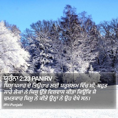 ਯੂਹੰਨਾ 2:23 PANIRV Bible Verse Image