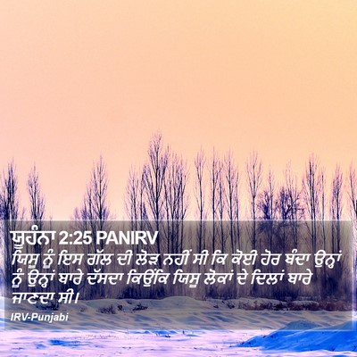 ਯੂਹੰਨਾ 2:25 PANIRV Bible Verse Image