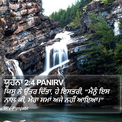 ਯੂਹੰਨਾ 2:4 PANIRV Bible Verse Image