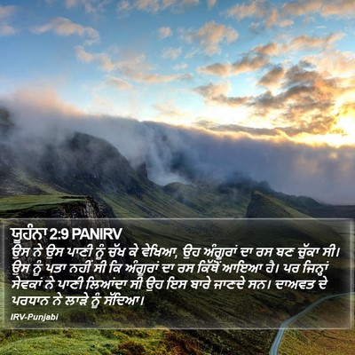 ਯੂਹੰਨਾ 2:9 PANIRV Bible Verse Image