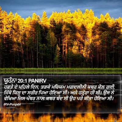 ਯੂਹੰਨਾ 20:1 PANIRV Bible Verse Image