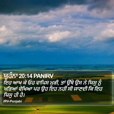 ਯੂਹੰਨਾ 20:14 PANIRV Bible Verse Image