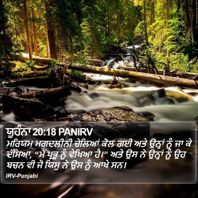 ਯੂਹੰਨਾ 20:18 PANIRV Bible Verse Image