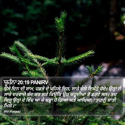 ਯੂਹੰਨਾ 20:19 PANIRV Bible Verse Image