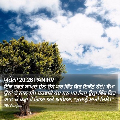 ਯੂਹੰਨਾ 20:26 PANIRV Bible Verse Image