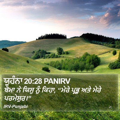 ਯੂਹੰਨਾ 20:28 PANIRV Bible Verse Image