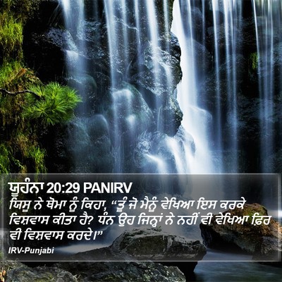 ਯੂਹੰਨਾ 20:29 PANIRV Bible Verse Image