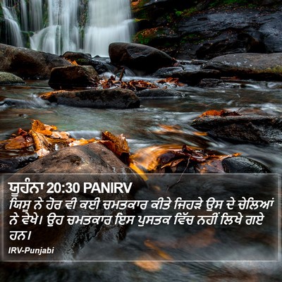 ਯੂਹੰਨਾ 20:30 PANIRV Bible Verse Image