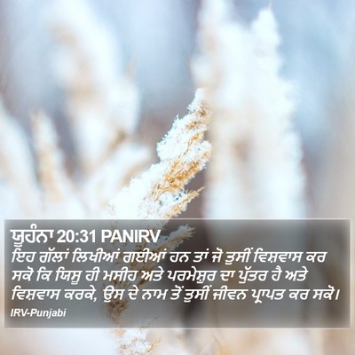 ਯੂਹੰਨਾ 20:31 PANIRV Bible Verse Image