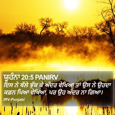ਯੂਹੰਨਾ 20:5 PANIRV Bible Verse Image