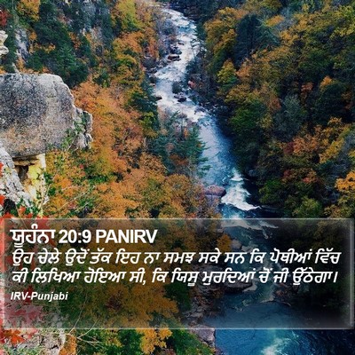 ਯੂਹੰਨਾ 20:9 PANIRV Bible Verse Image