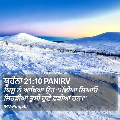 ਯੂਹੰਨਾ 21:10 PANIRV Bible Verse Image