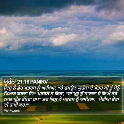 ਯੂਹੰਨਾ 21:16 PANIRV Bible Verse Image