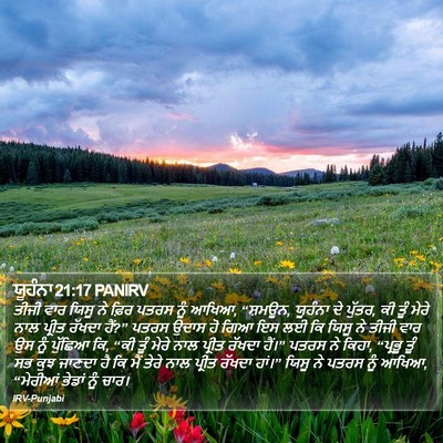 ਯੂਹੰਨਾ 21:17 PANIRV Bible Verse Image
