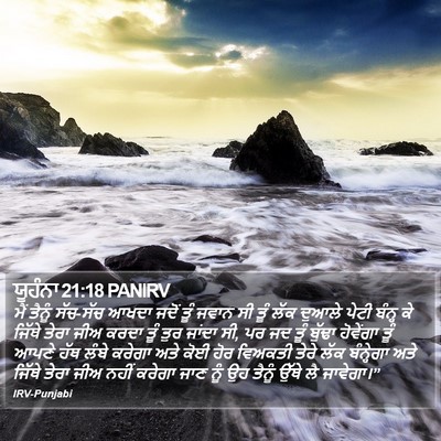 ਯੂਹੰਨਾ 21:18 PANIRV Bible Verse Image