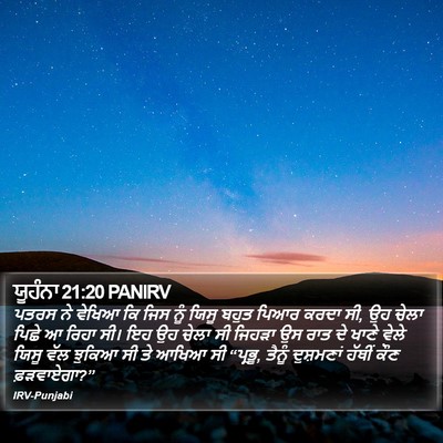 ਯੂਹੰਨਾ 21:20 PANIRV Bible Verse Image