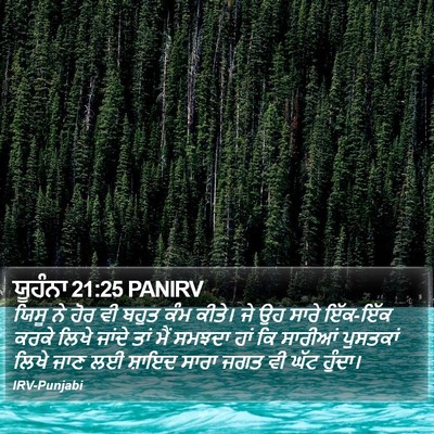 ਯੂਹੰਨਾ 21:25 PANIRV Bible Verse Image