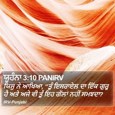 ਯੂਹੰਨਾ 3:10 PANIRV Bible Verse Image