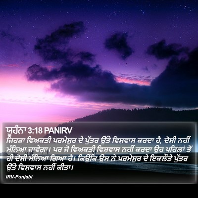 ਯੂਹੰਨਾ 3:18 PANIRV Bible Verse Image