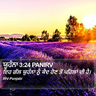 ਯੂਹੰਨਾ 3:24 PANIRV Bible Verse Image