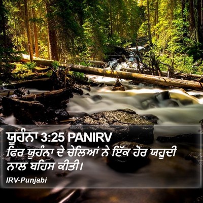 ਯੂਹੰਨਾ 3:25 PANIRV Bible Verse Image