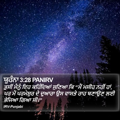 ਯੂਹੰਨਾ 3:28 PANIRV Bible Verse Image