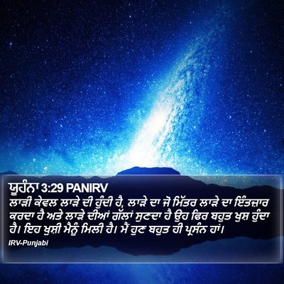 ਯੂਹੰਨਾ 3:29 PANIRV Bible Verse Image