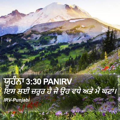 ਯੂਹੰਨਾ 3:30 PANIRV Bible Verse Image