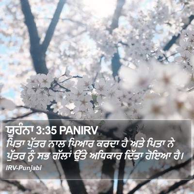 ਯੂਹੰਨਾ 3:35 PANIRV Bible Verse Image