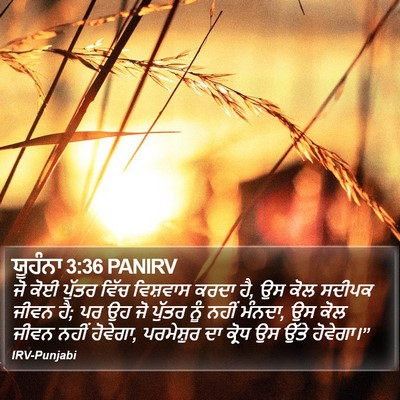 ਯੂਹੰਨਾ 3:36 PANIRV Bible Verse Image