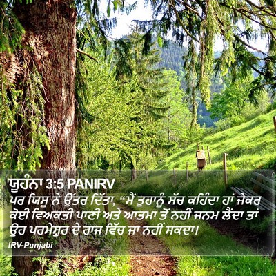 ਯੂਹੰਨਾ 3:5 PANIRV Bible Verse Image